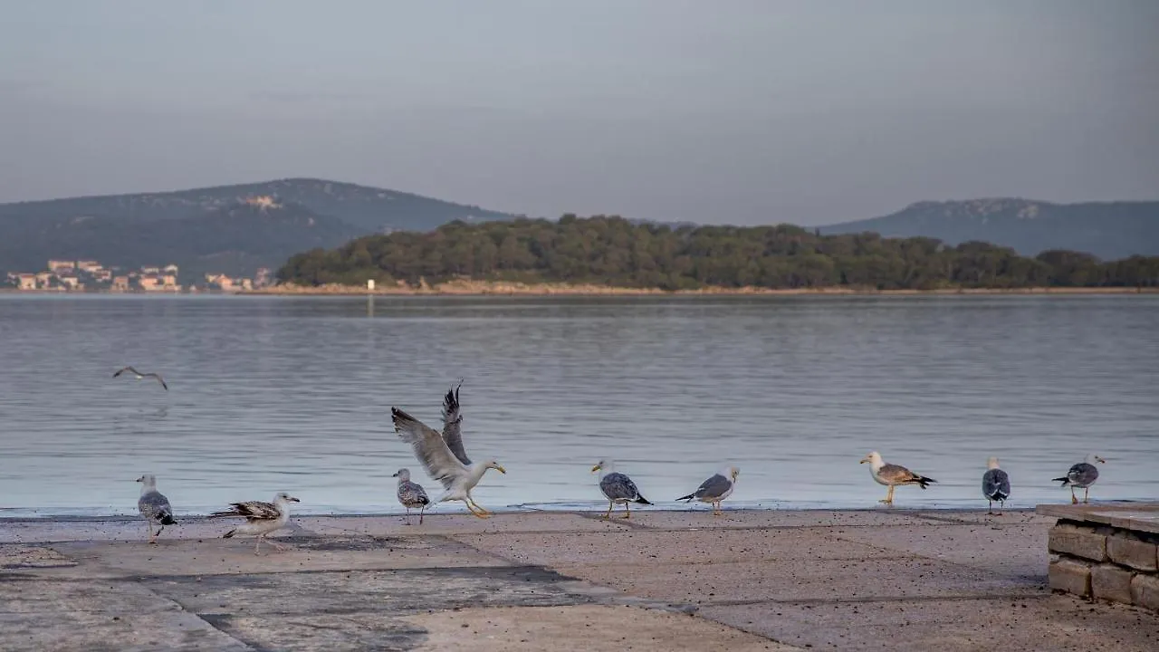 Apartmani Dina Biograd Na Moru 0*,