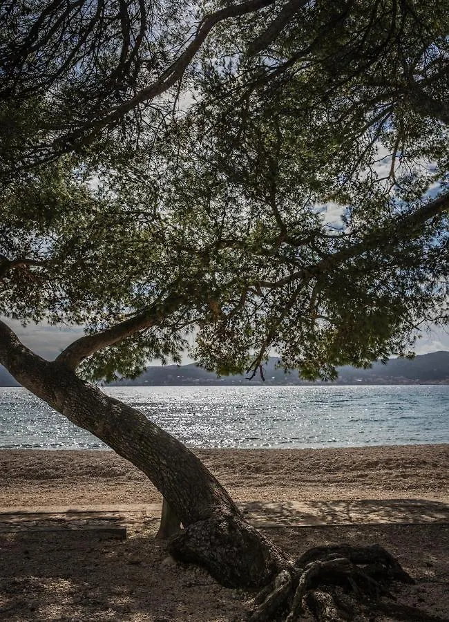 Apartament Apartmani Dina Biograd Na Moru