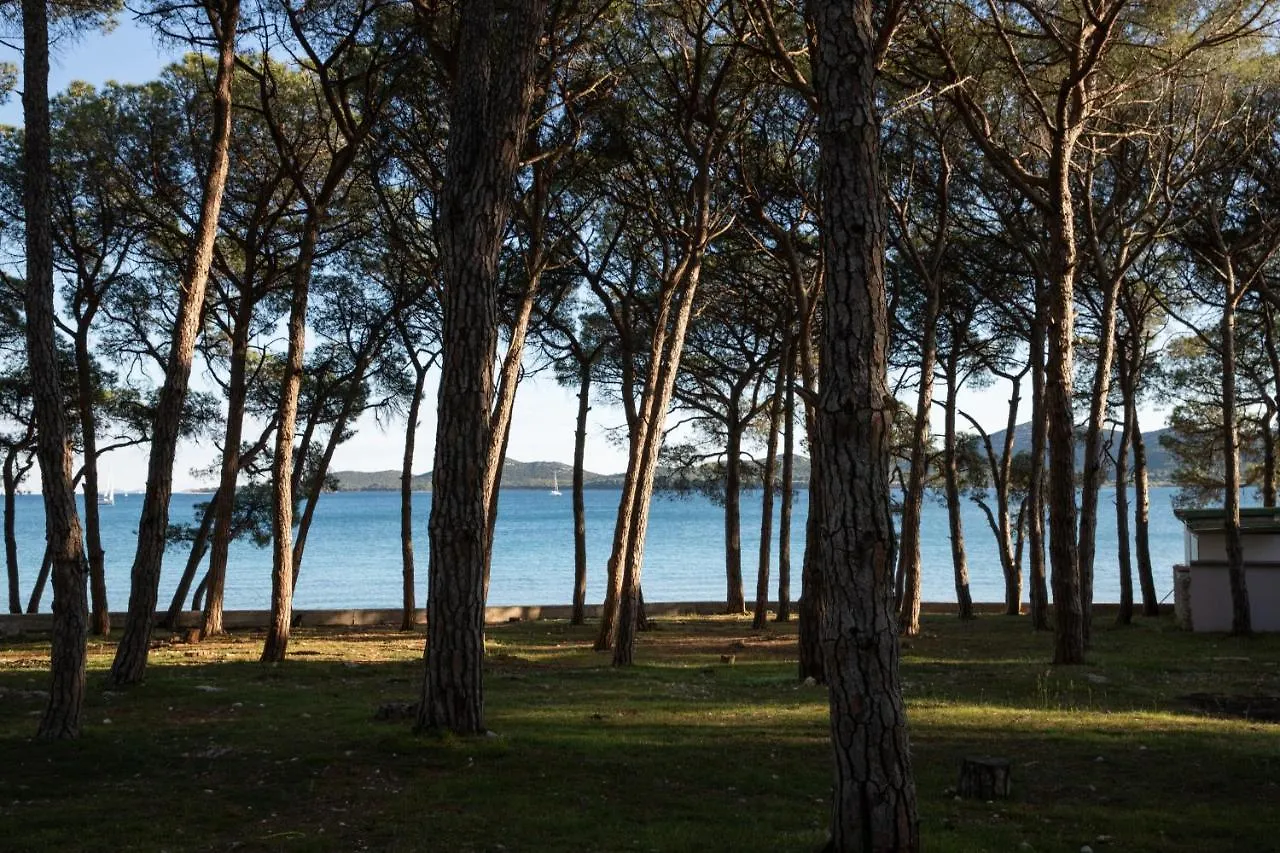 Apartament Apartmani Dina Biograd Na Moru Chorwacja
