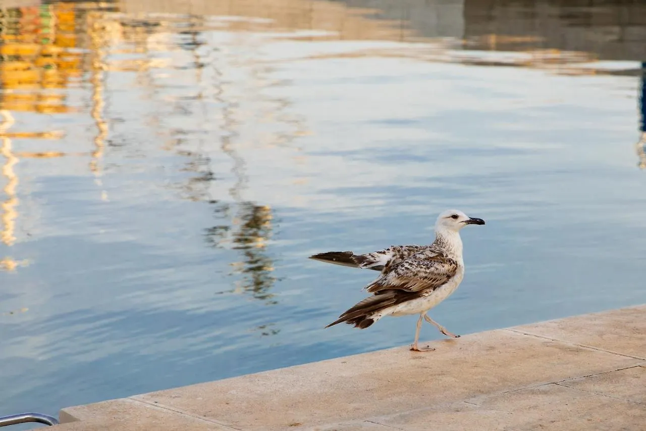 Apartmani Dina Biograd Na Moru Apartment